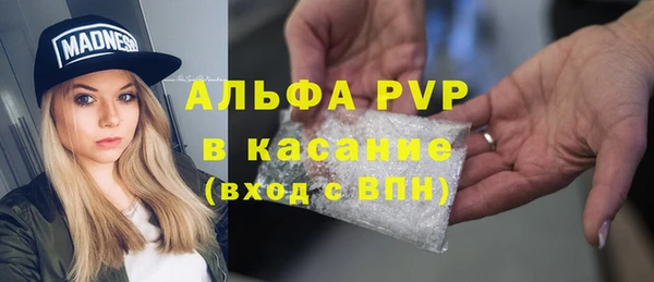 ешки Корсаков