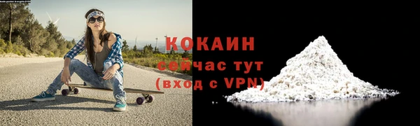 ешки Корсаков