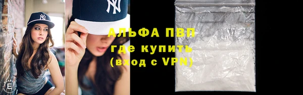 ешки Корсаков