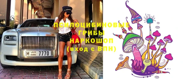 ешки Корсаков
