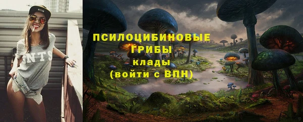 мдма Коряжма