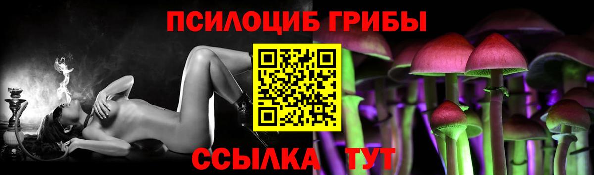 Псилоцибиновые грибы Psilocybine cubensis Нижний Новгород